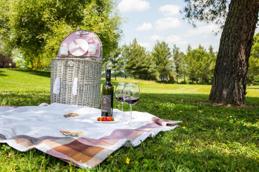 Agriturismo Colleverde Selvatelle المظهر الخارجي الصورة