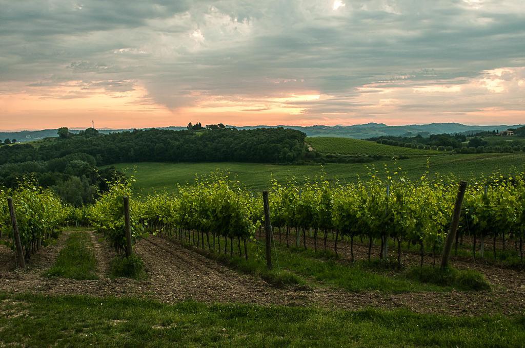 Agriturismo Colleverde Selvatelle المظهر الخارجي الصورة