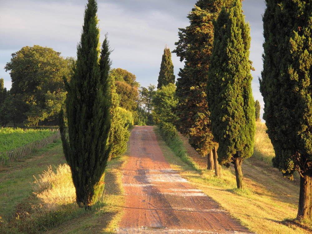 Agriturismo Colleverde Selvatelle المظهر الخارجي الصورة