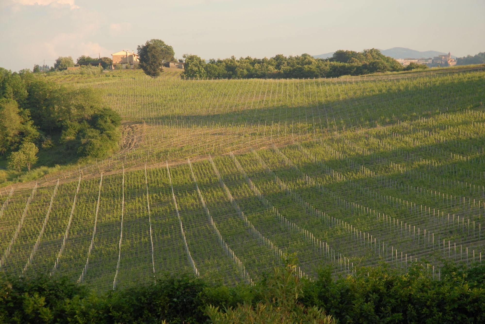 Agriturismo Colleverde Selvatelle المظهر الخارجي الصورة