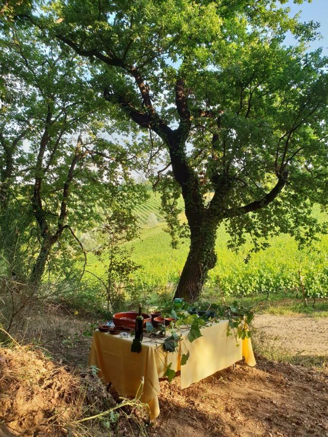 Agriturismo Colleverde Selvatelle المظهر الخارجي الصورة